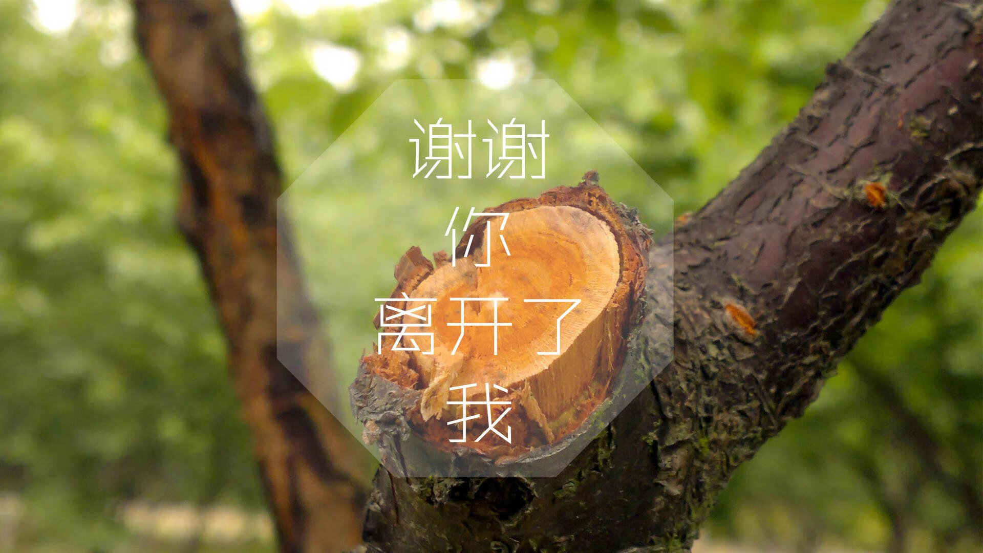 中国乒乓球公开赛激烈角逐，年轻选手表现亮眼，2020乒乓球中国公开赛在哪举办