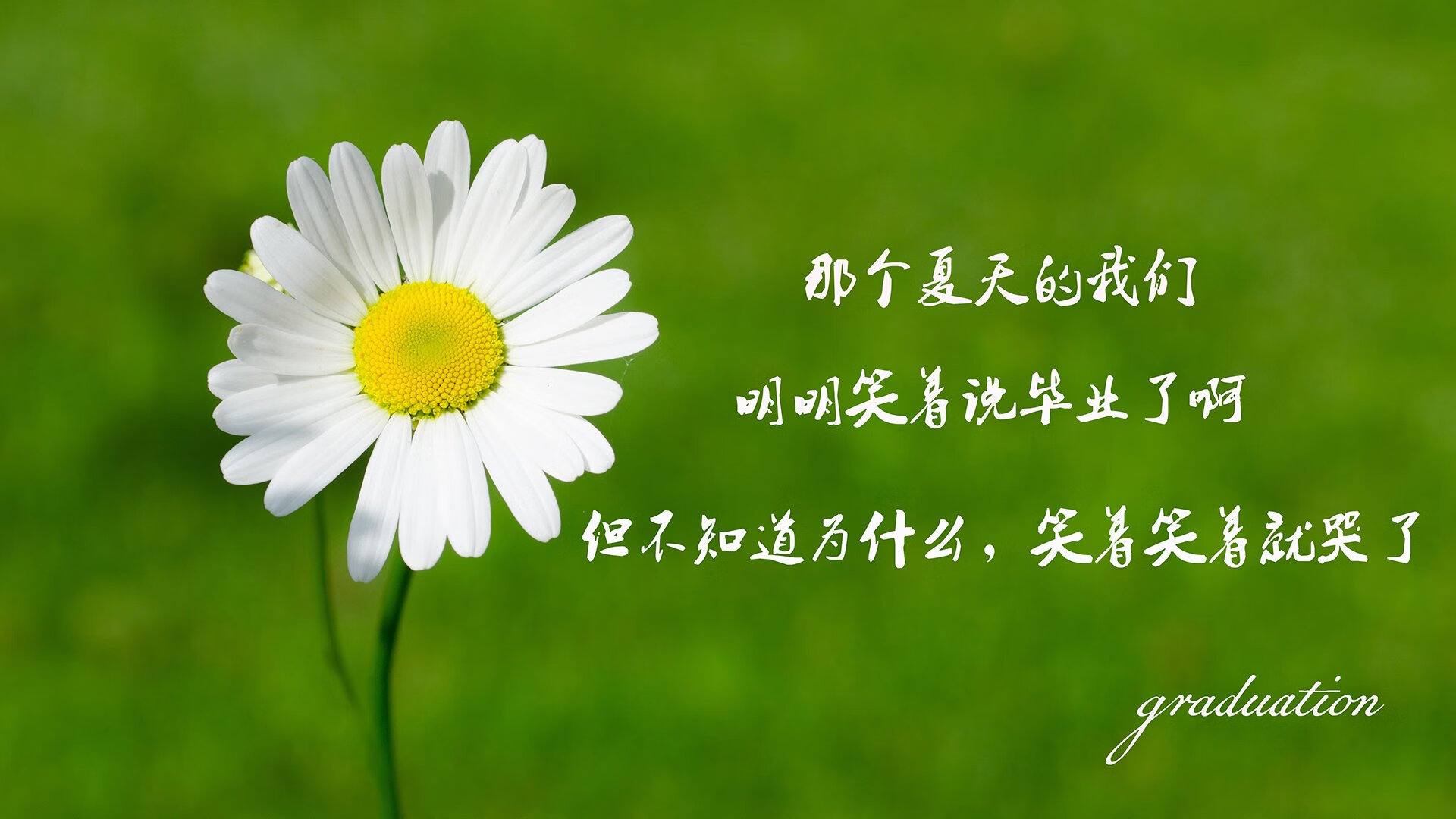 弗拉门戈年轻球员崭露头角，弗拉门戈足球俱乐部