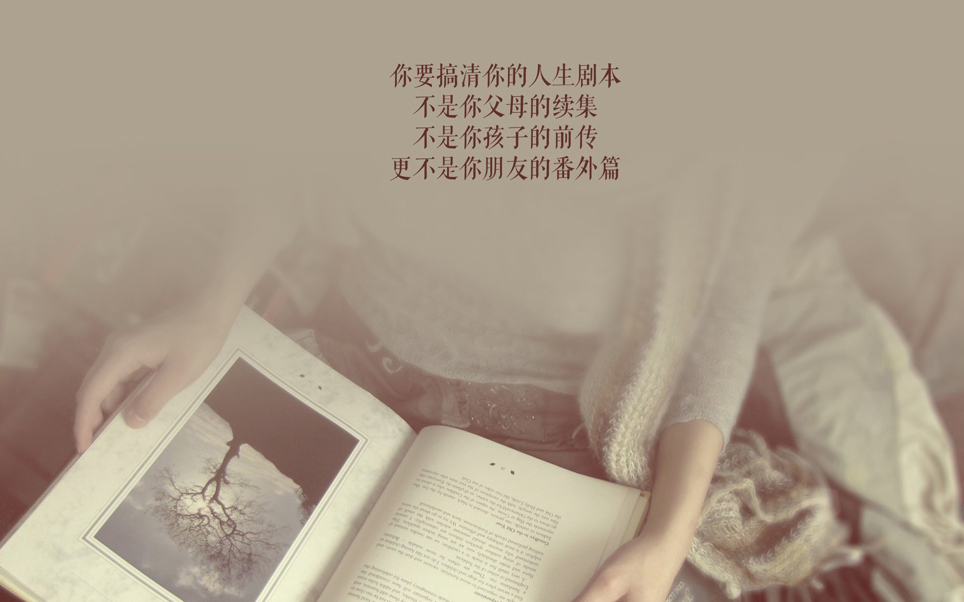 九游游戏中心官网-悉尼国王关键比赛连胜，悉尼国王vs墨尔本