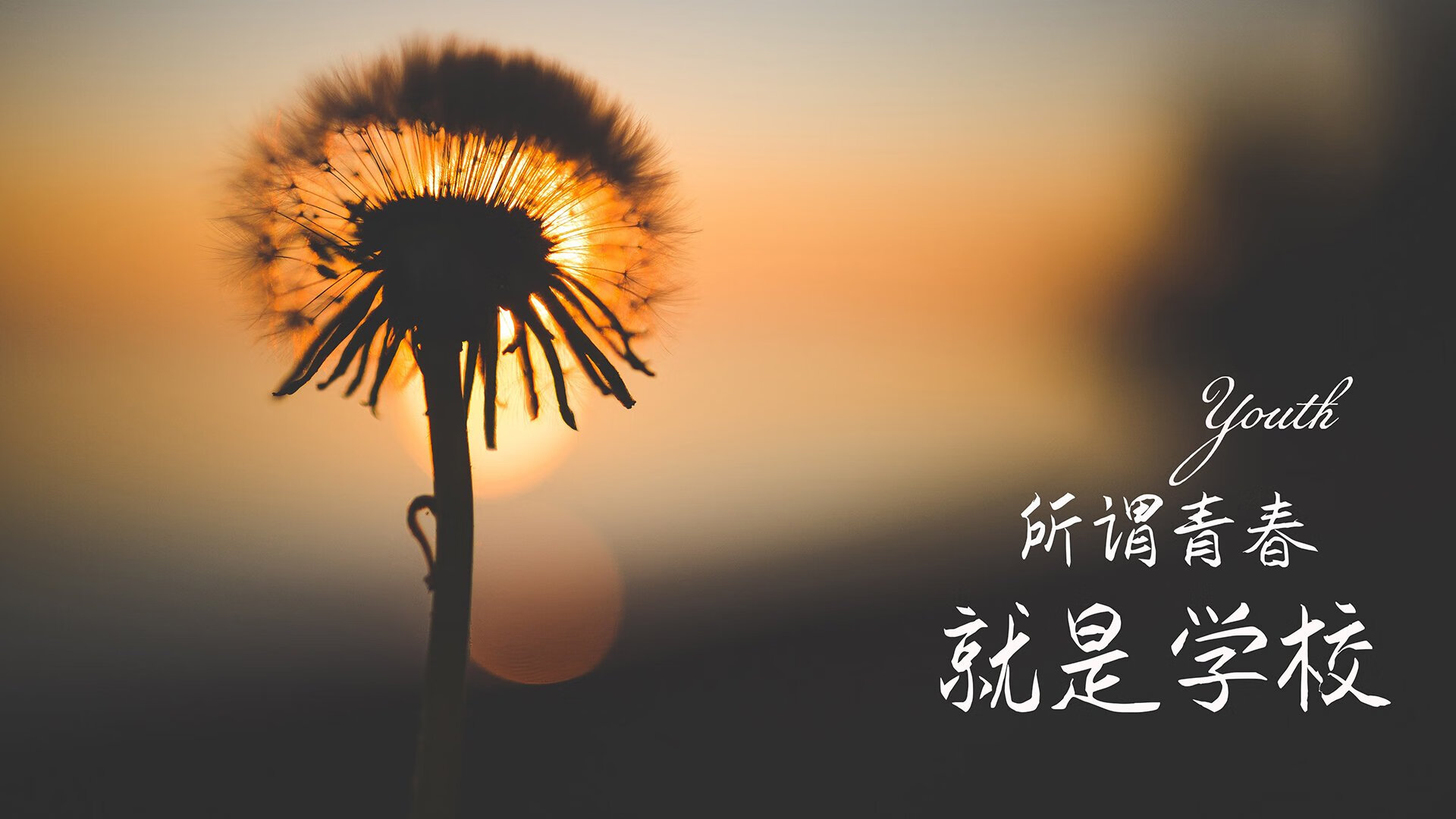 昂热新援适应不良，球队整体实力遭质疑，昂热到底是谁