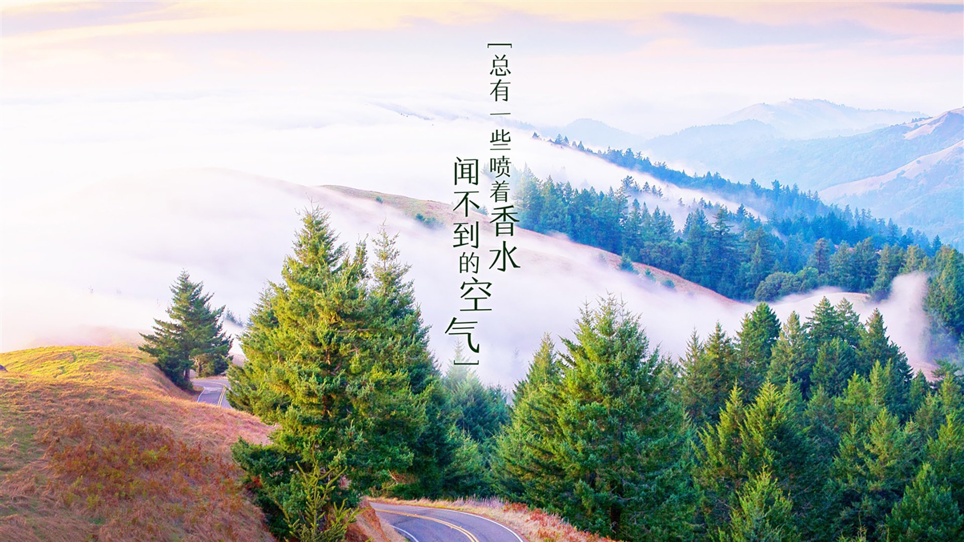 -“费尔南多·比亚尔巴的创新踢球为美洲狮队注入新活力”